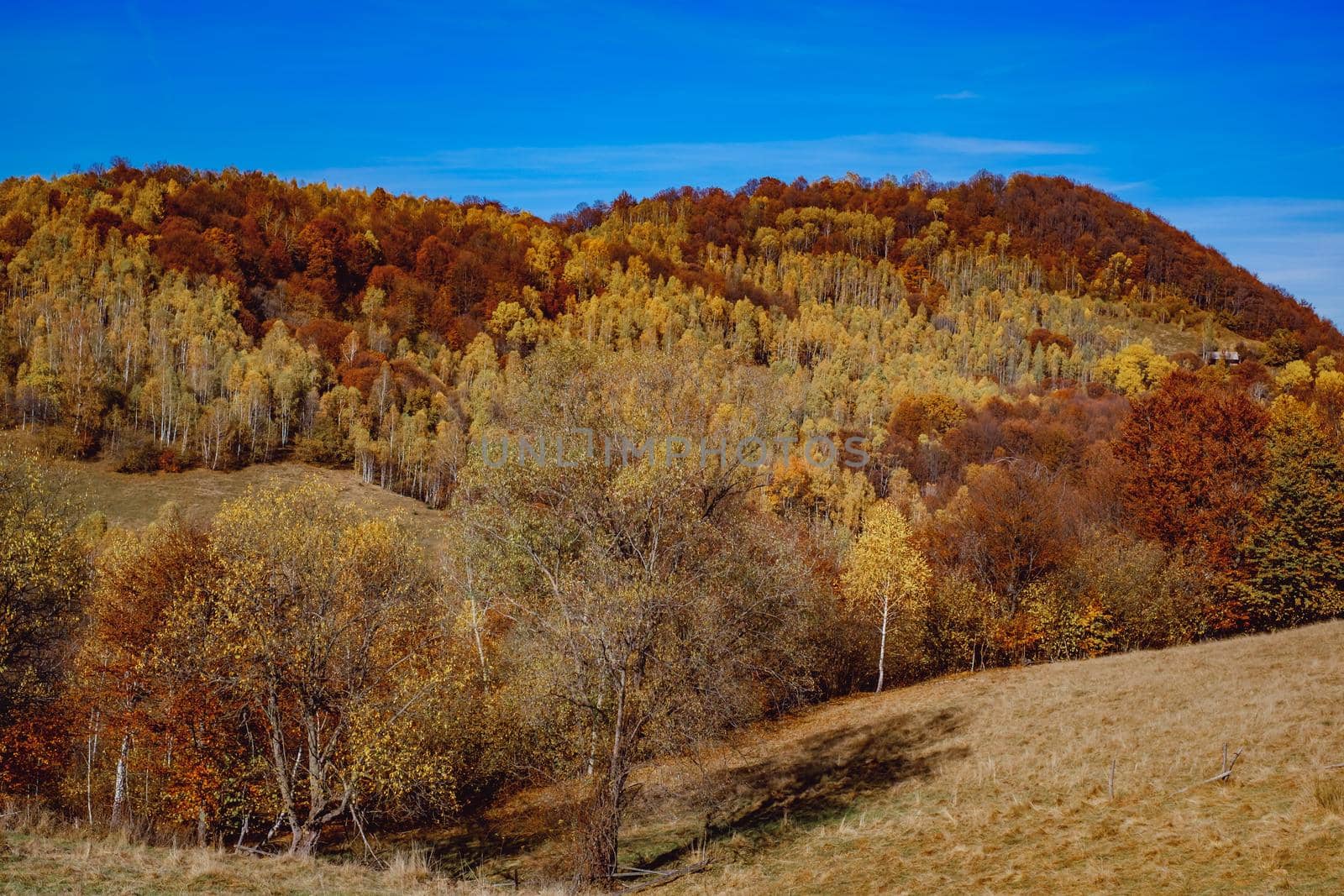 beautiful autumn landscapes in the Romanian mountains, Fantanele village area, Sibiu county, Cindrel mountains, Romania