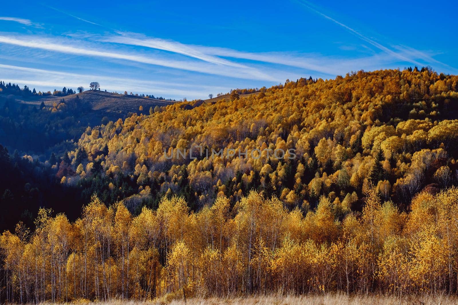 beautiful autumn landscapes in the Romanian mountains, Fantanele village area, Sibiu county, Cindrel mountains, Romania