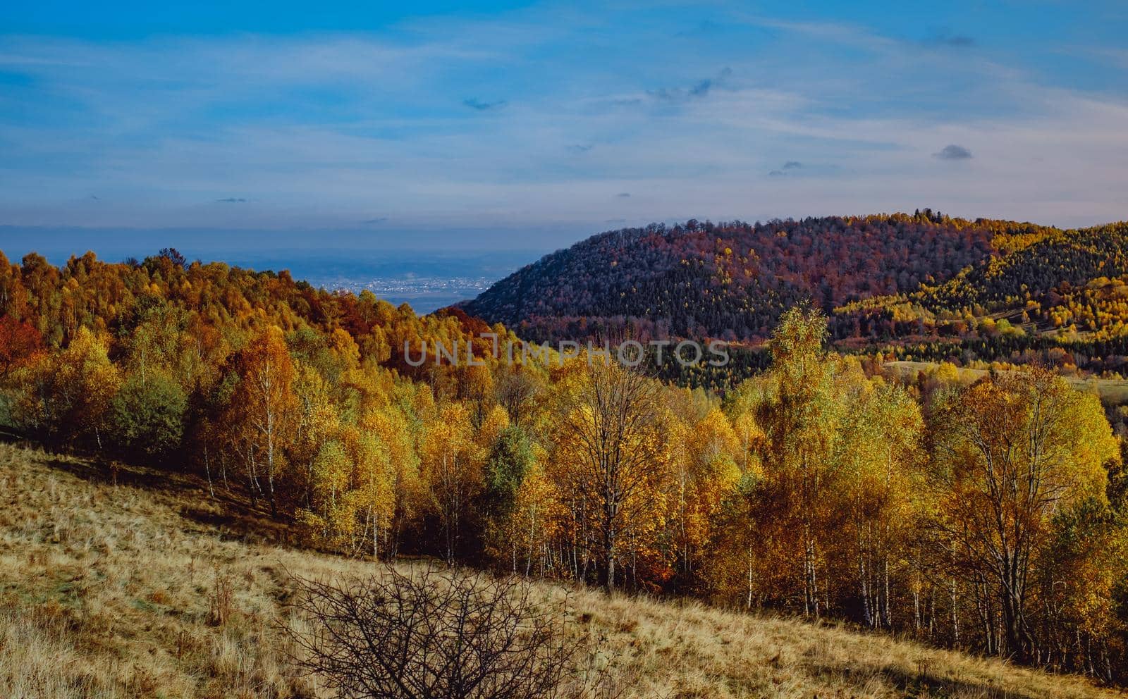 beautiful autumn landscapes in the Romanian mountains, Fantanele village area, Sibiu county, Cindrel mountains, Romania