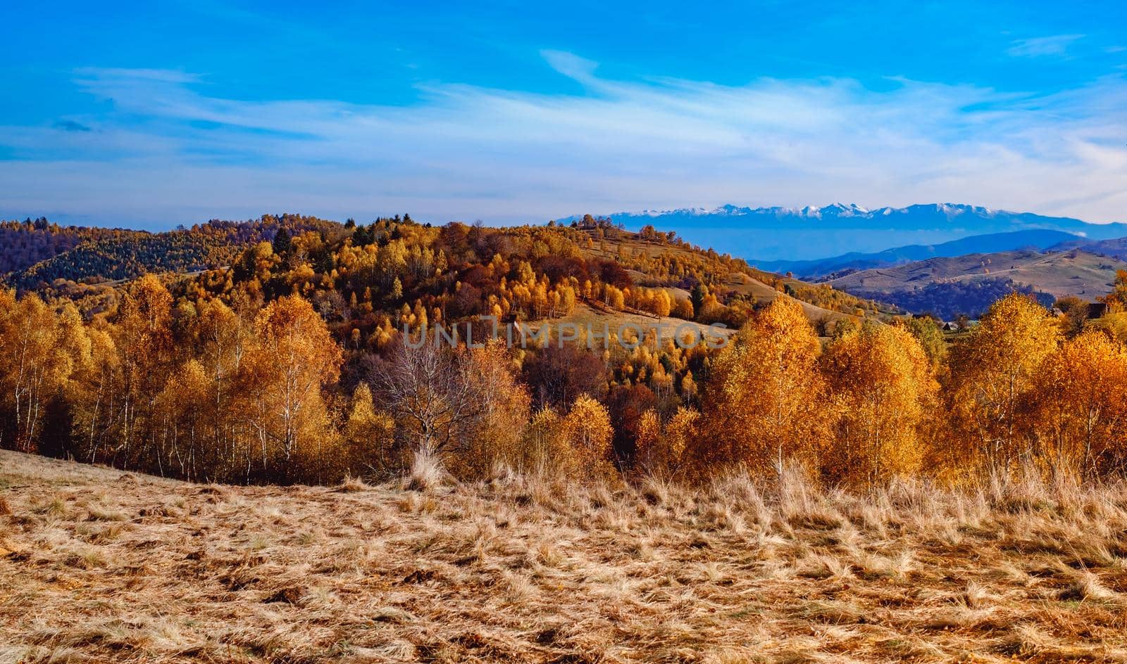 beautiful autumn landscapes in the Romanian mountains, Fantanele village area, Sibiu county, Cindrel mountains, Romania