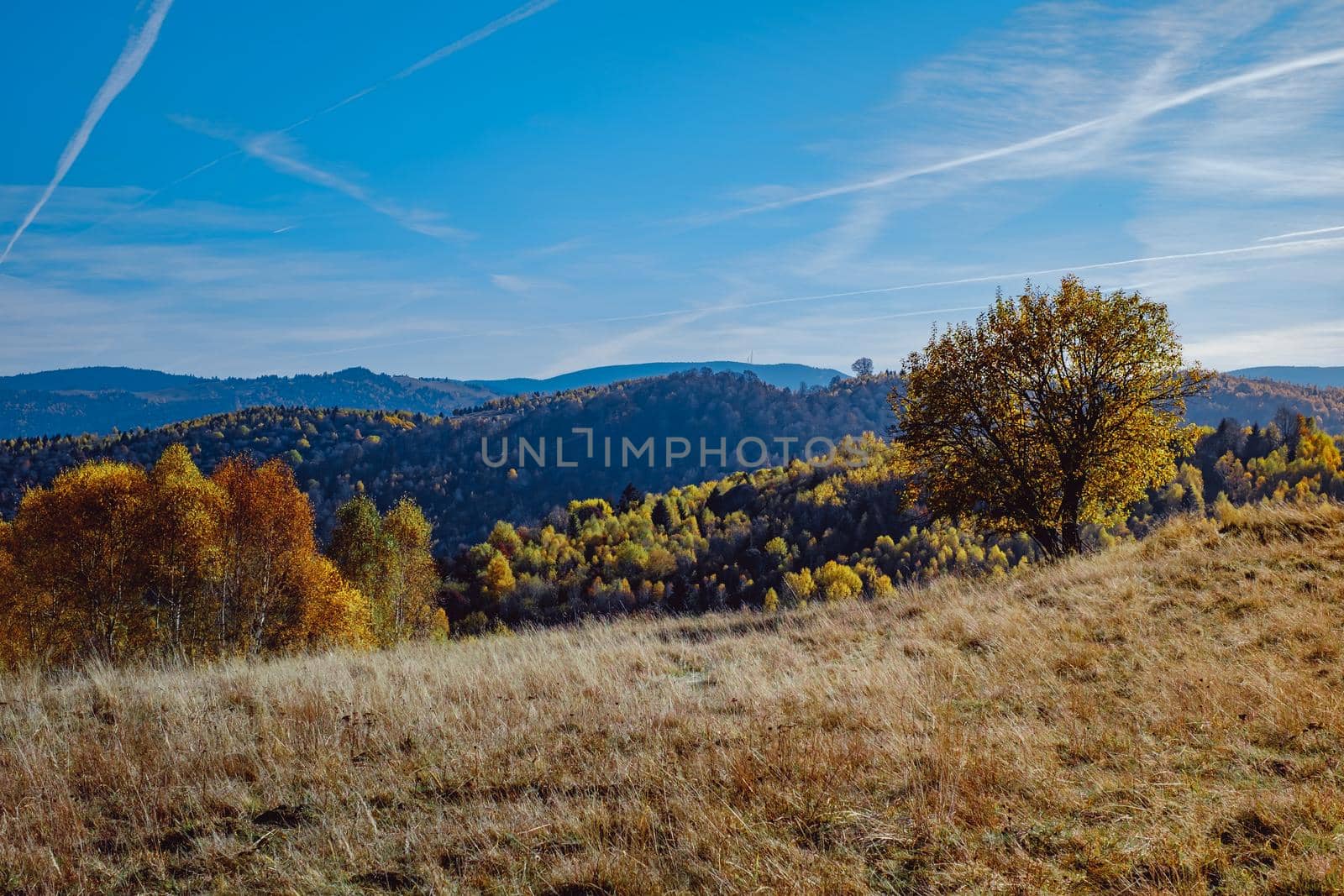 beautiful autumn landscapes in the Romanian mountains, Fantanele village area, Sibiu county, Cindrel mountains, Romania