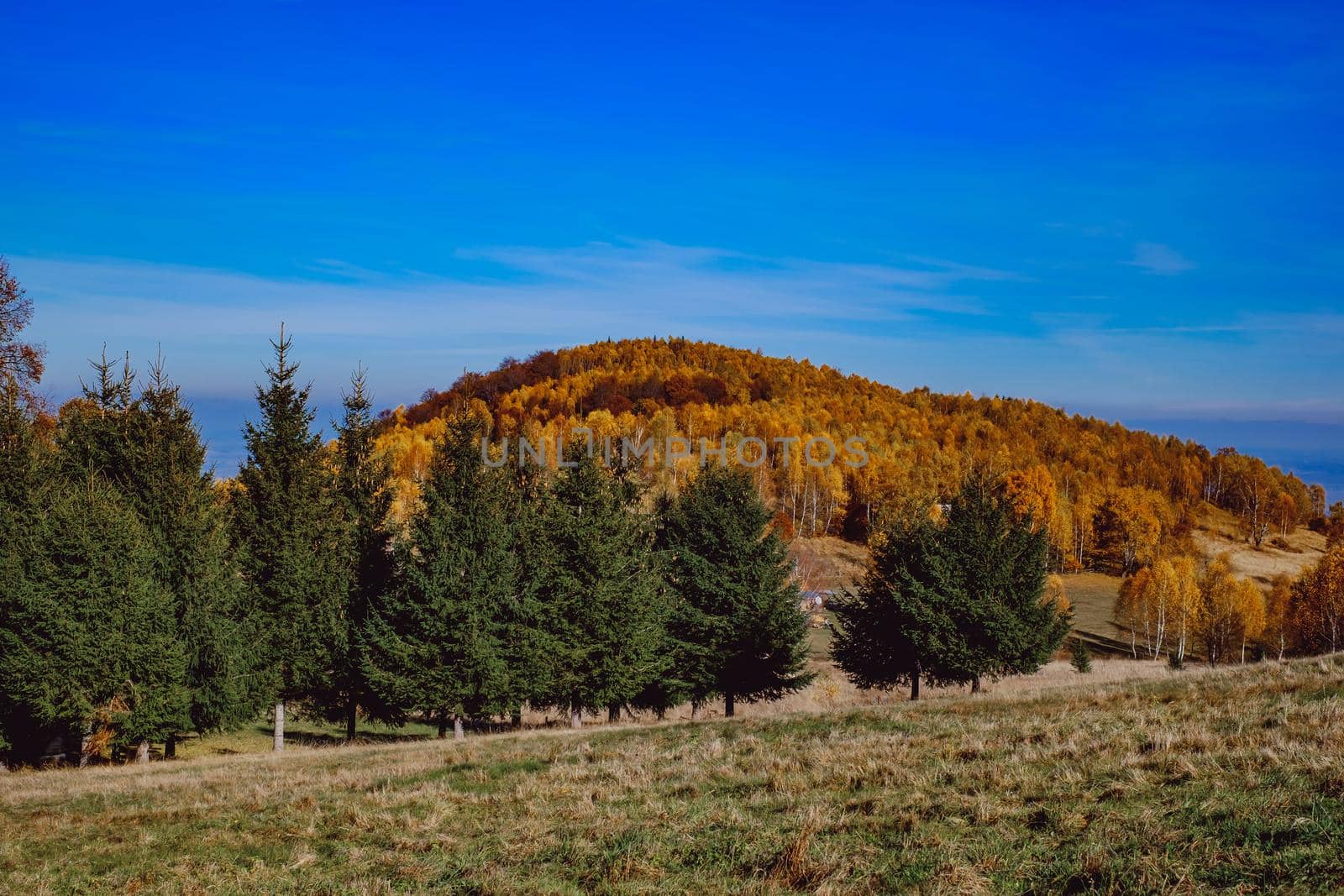 beautiful autumn landscapes in the Romanian mountains, Fantanele village area, Sibiu county, Cindrel mountains, Romania