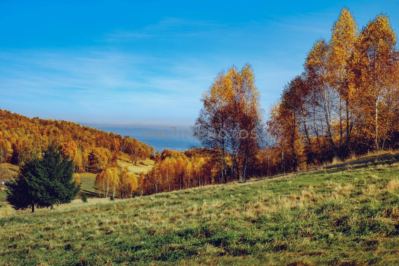 beautiful autumn landscapes in the Romanian mountains, Fantanele village area, Sibiu county, Cindrel mountains, Romania