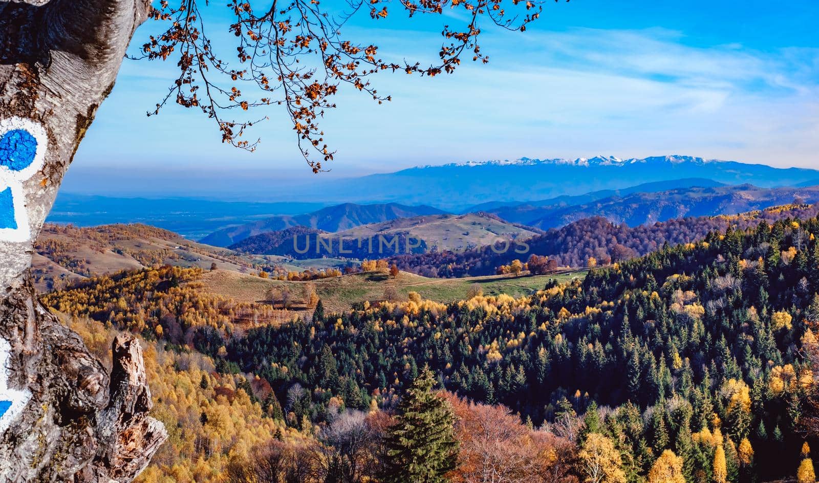 beautiful autumn landscapes in the Romanian mountains, Fantanele village area, Sibiu county, Cindrel mountains, Romania