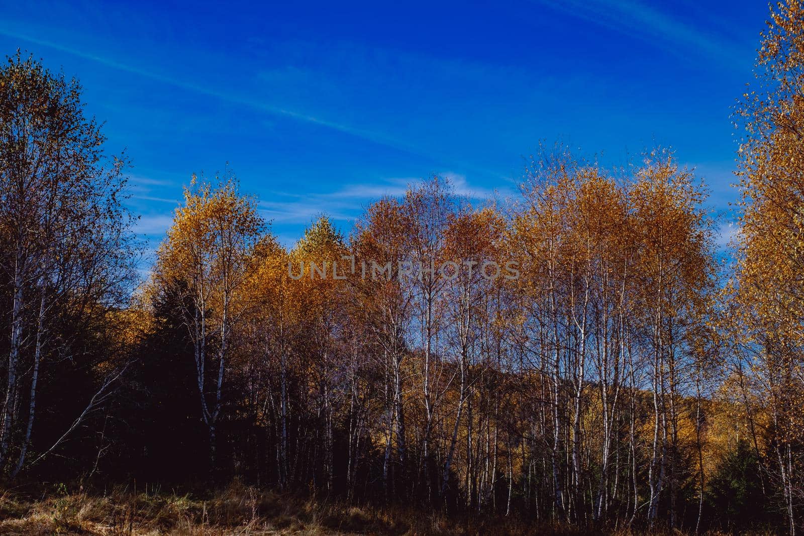 beautiful autumn landscapes in the Romanian mountains, Fantanele village area, Sibiu county, Cindrel mountains, Romania