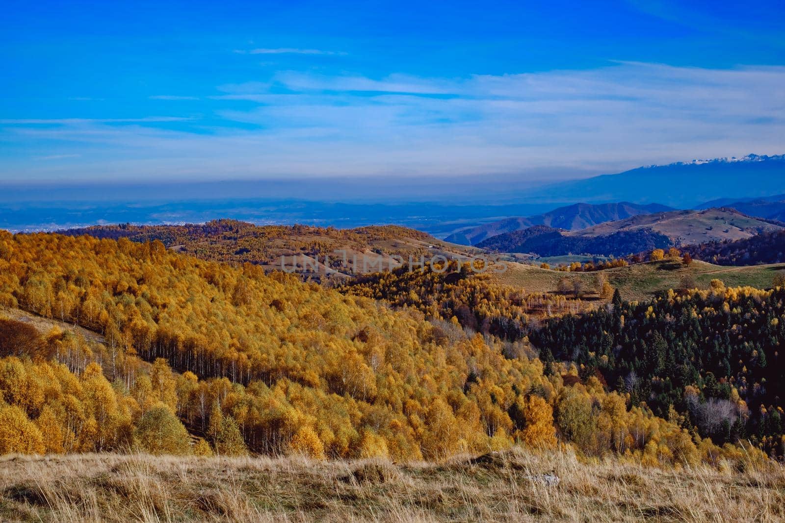 beautiful autumn landscapes in the Romanian mountains, Fantanele village area, Sibiu county, Cindrel mountains, Romania