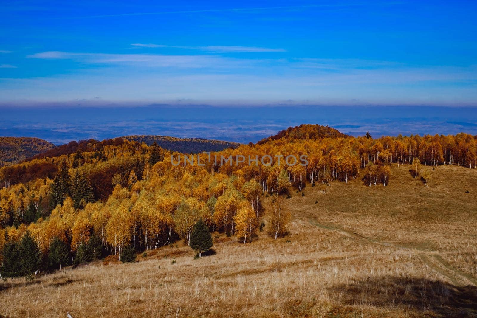 beautiful autumn landscapes in the Romanian mountains, Fantanele village area, Sibiu county, Cindrel mountains, Romania