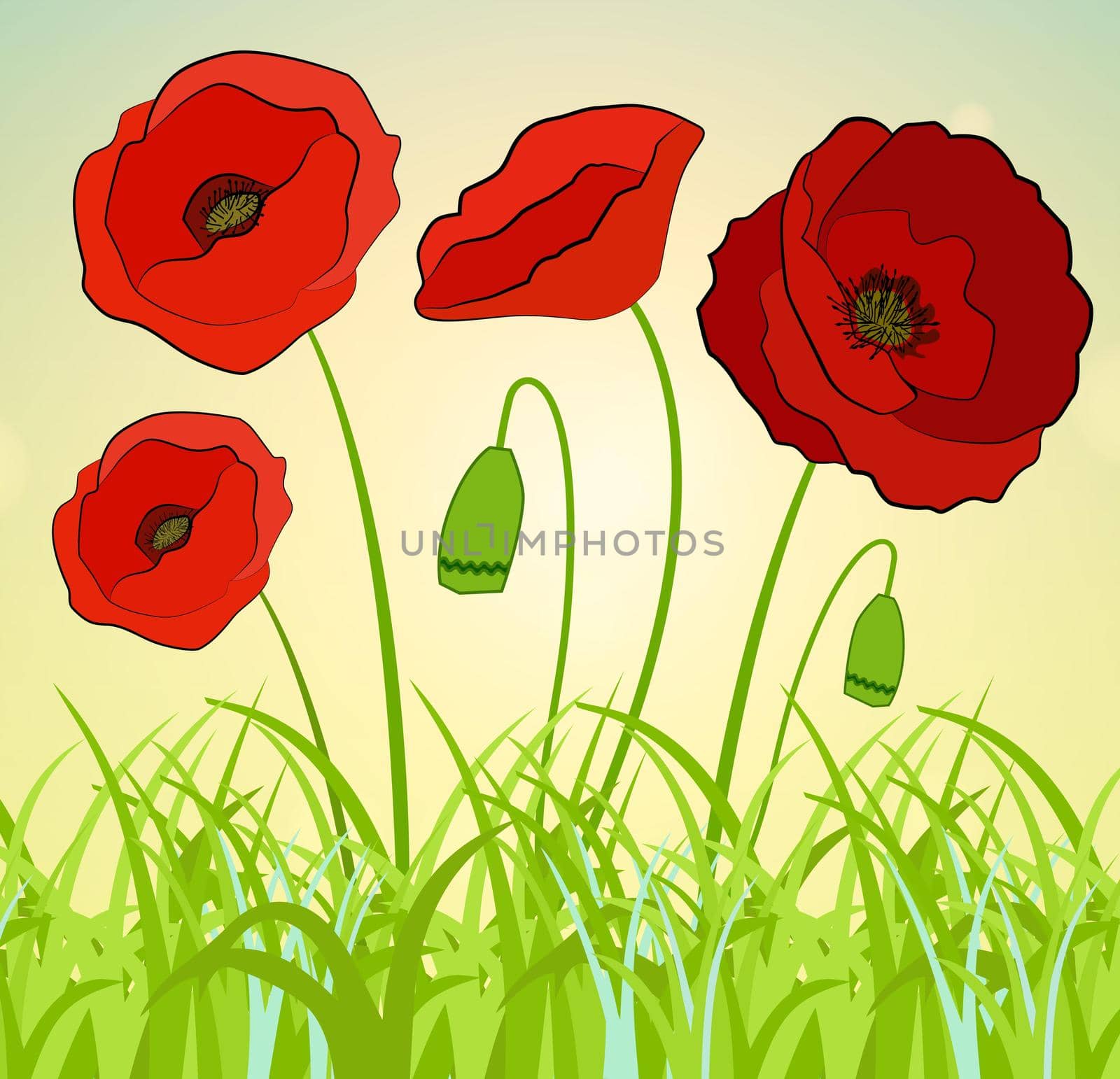 Beautiful abstract background with red poppies flowers. Vector.