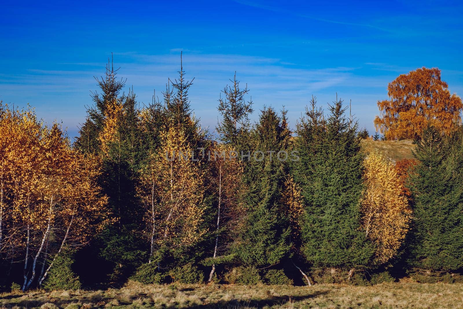 beautiful autumn landscapes in the Romanian mountains, Fantanele village area, Sibiu county, Cindrel mountains, Romania