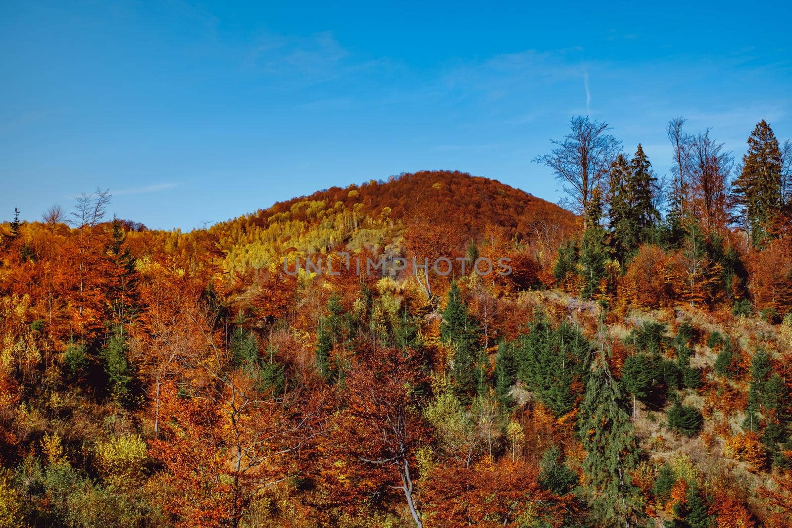 beautiful autumn landscapes in the Romanian mountains, Fantanele village area, Sibiu county, Cindrel mountains, Romania