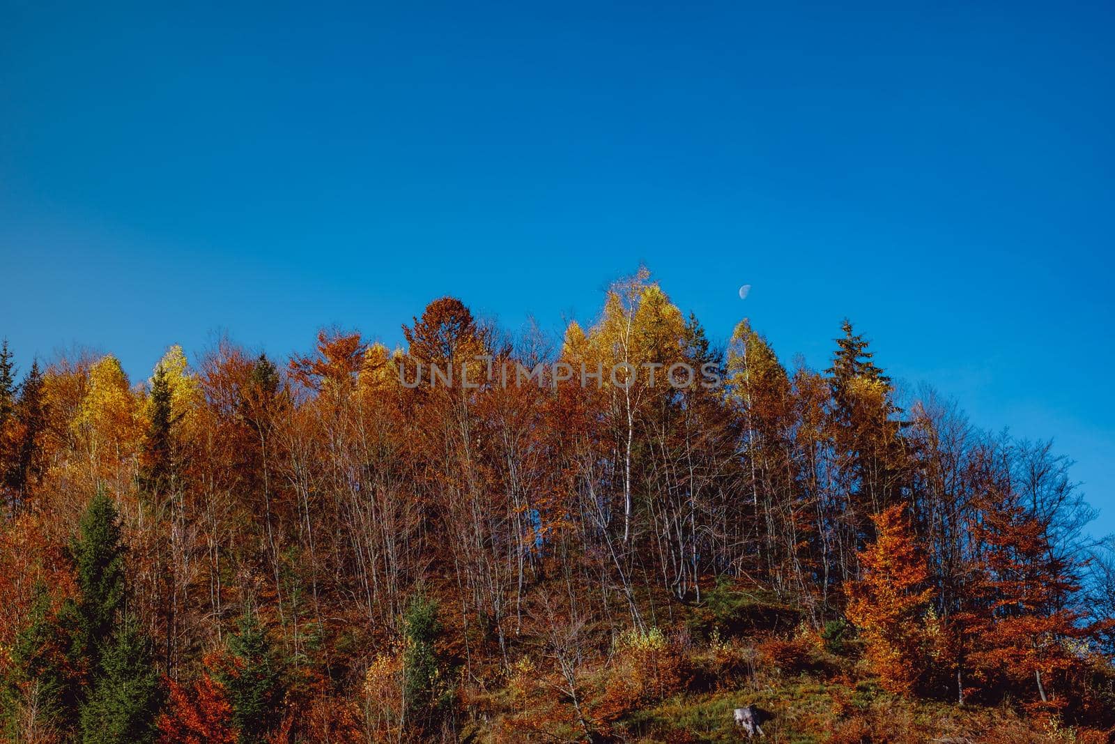 beautiful autumn landscapes in the Romanian mountains, Fantanele village area, Sibiu county, Cindrel mountains, Romania