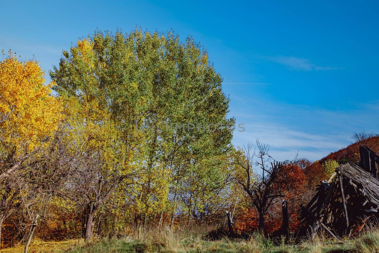 beautiful autumn landscapes in the Romanian mountains, Fantanele village area, Sibiu county, Cindrel mountains, Romania