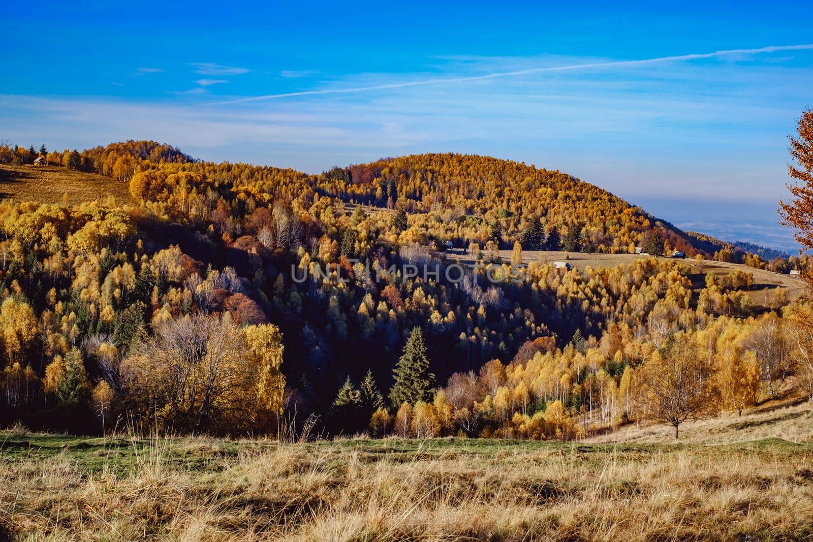 beautiful autumn landscapes in the Romanian mountains, Fantanele village area, Sibiu county, Cindrel mountains, Romania