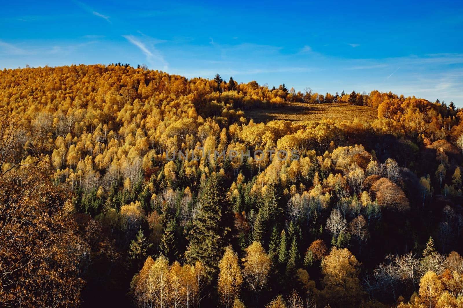 beautiful autumn landscapes in the Romanian mountains, Fantanele village area, Sibiu county, Cindrel mountains, Romania