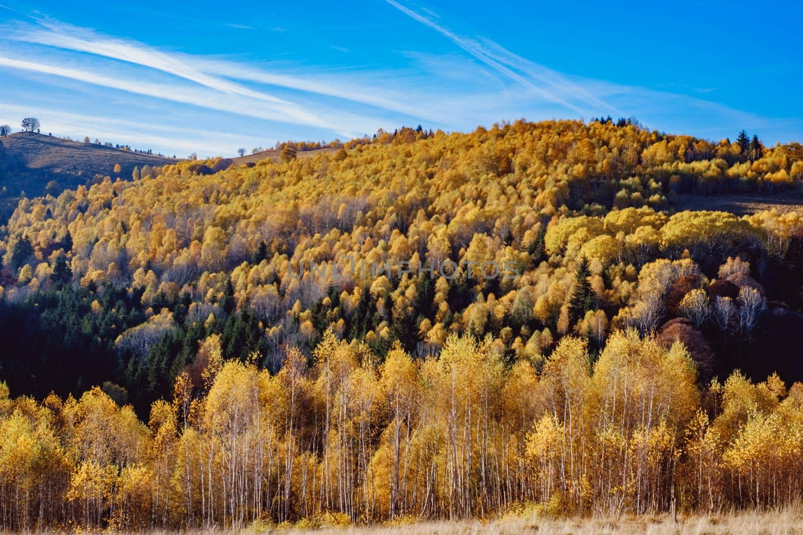 beautiful autumn landscapes in the Romanian mountains, Fantanele village area, Sibiu county, Cindrel mountains, Romania