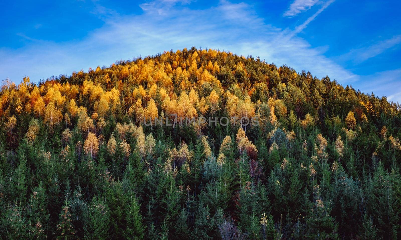 beautiful autumn landscapes in the Romanian mountains, Fantanele village area, Sibiu county, Cindrel mountains, Romania