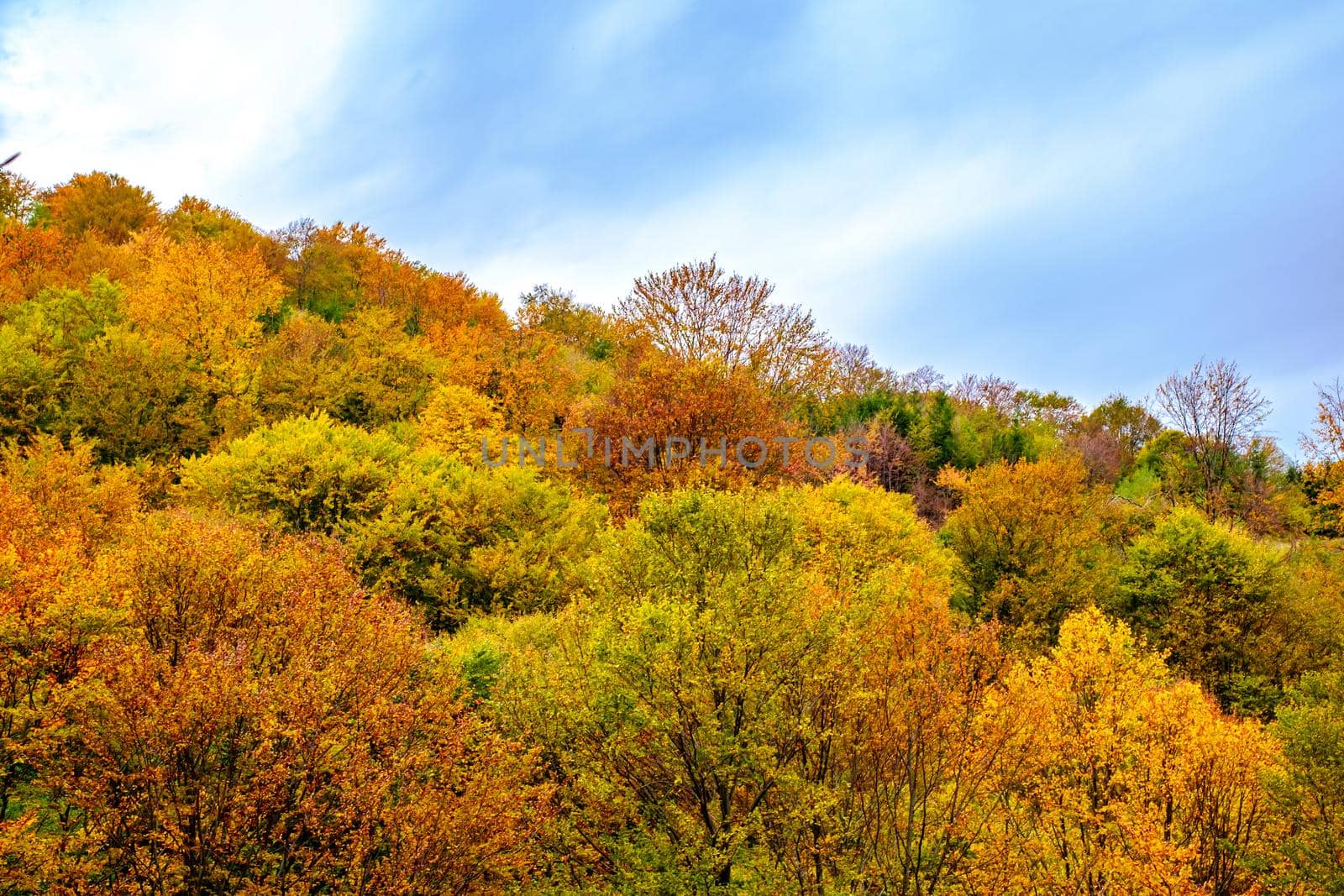 Colorful autumn landscape in the Romanian Carpathians, Fantanele village, Sibiu county, Cindrel mountains, 1100m, Romania