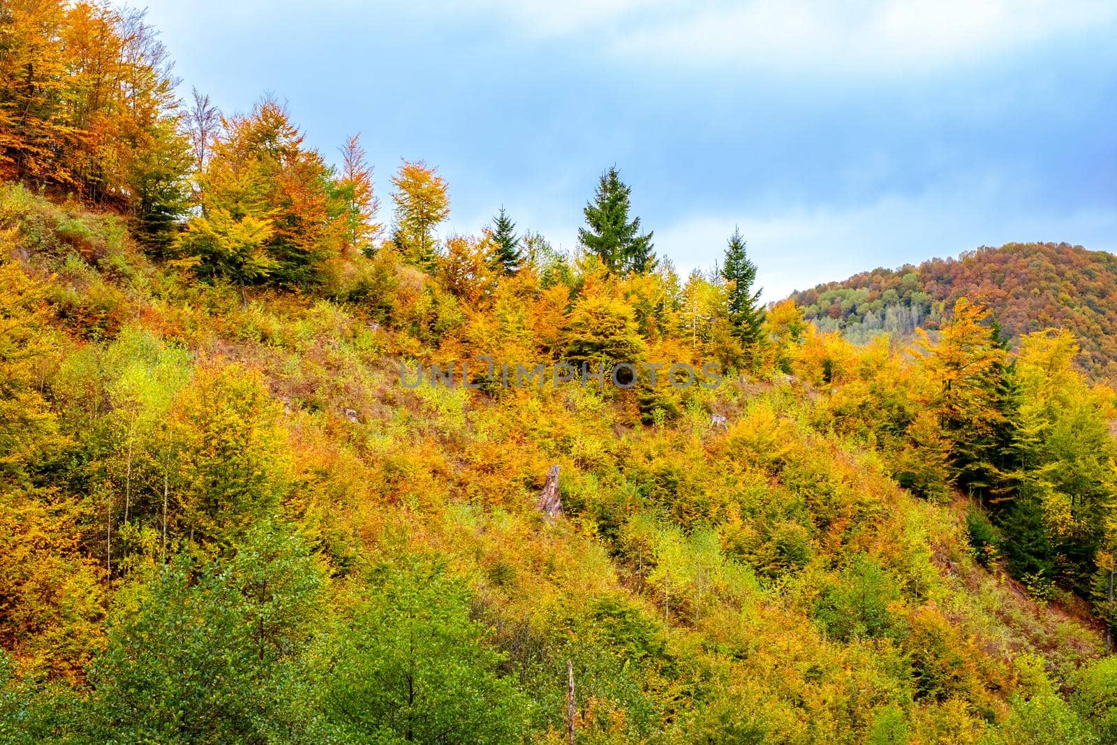 Colorful autumn landscape in the Romanian Carpathians, Fantanele village, Sibiu county, Cindrel mountains, 1100m, Romania