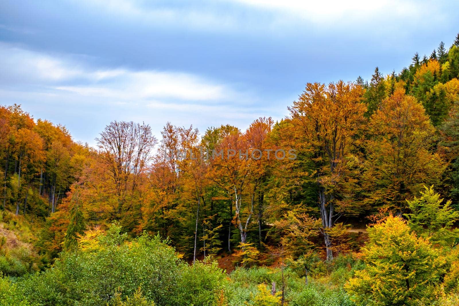 Colorful autumn landscape in the Romanian Carpathians, Fantanele village, Sibiu county, Cindrel mountains, 1100m, Romania