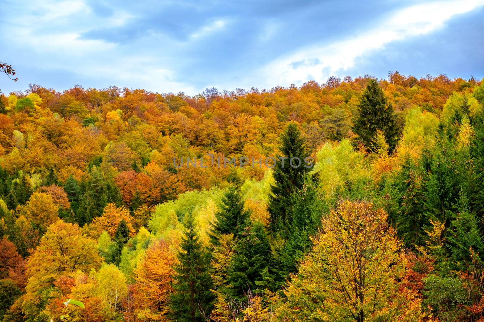 Colorful autumn landscape in the Romanian Carpathians, Fantanele village, Sibiu county, Cindrel mountains, 1100m, Romania