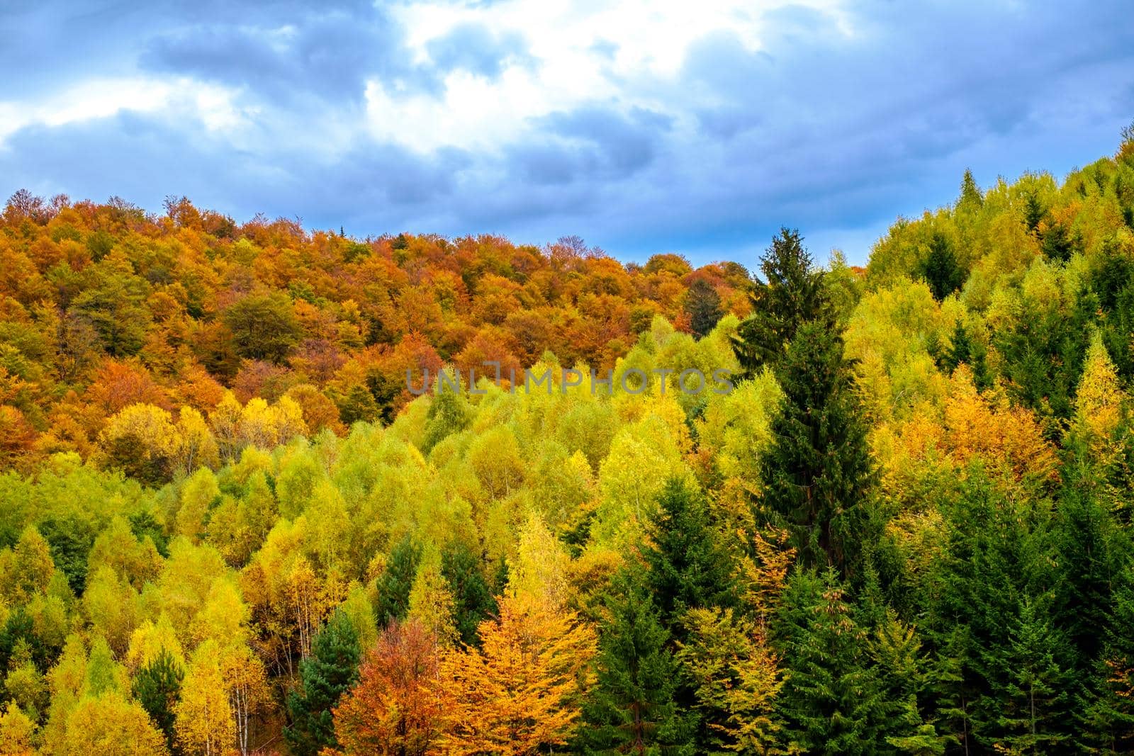 Colorful autumn landscape in the Romanian Carpathians, Fantanele village, Sibiu county, Cindrel mountains, 1100m, Romania