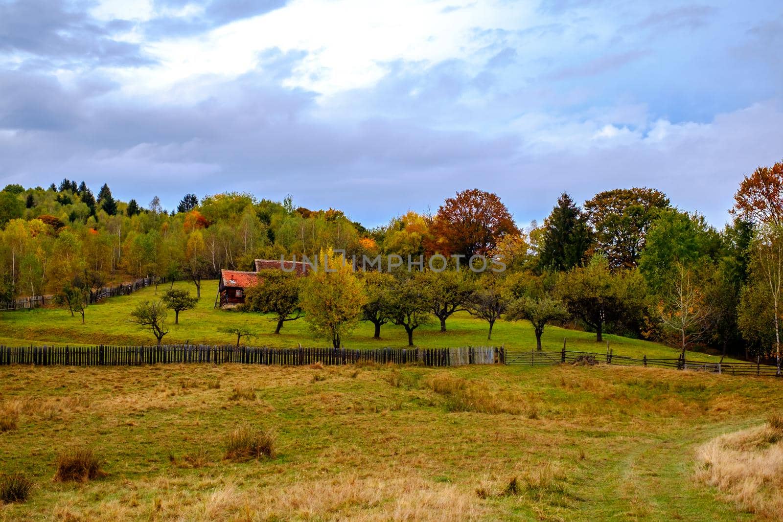 Colorful autumn landscape in the Romanian Carpathians, Fantanele village, Sibiu county, Cindrel mountains, 1100m, Romania