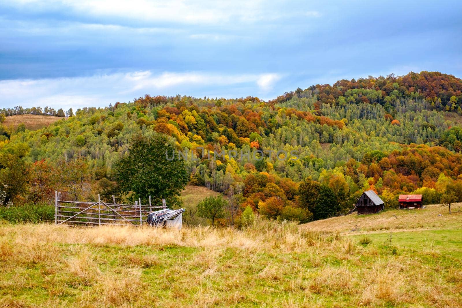 Colorful autumn landscape in the Romanian Carpathians, Fantanele village, Sibiu county, Cindrel mountains, 1100m, Romania