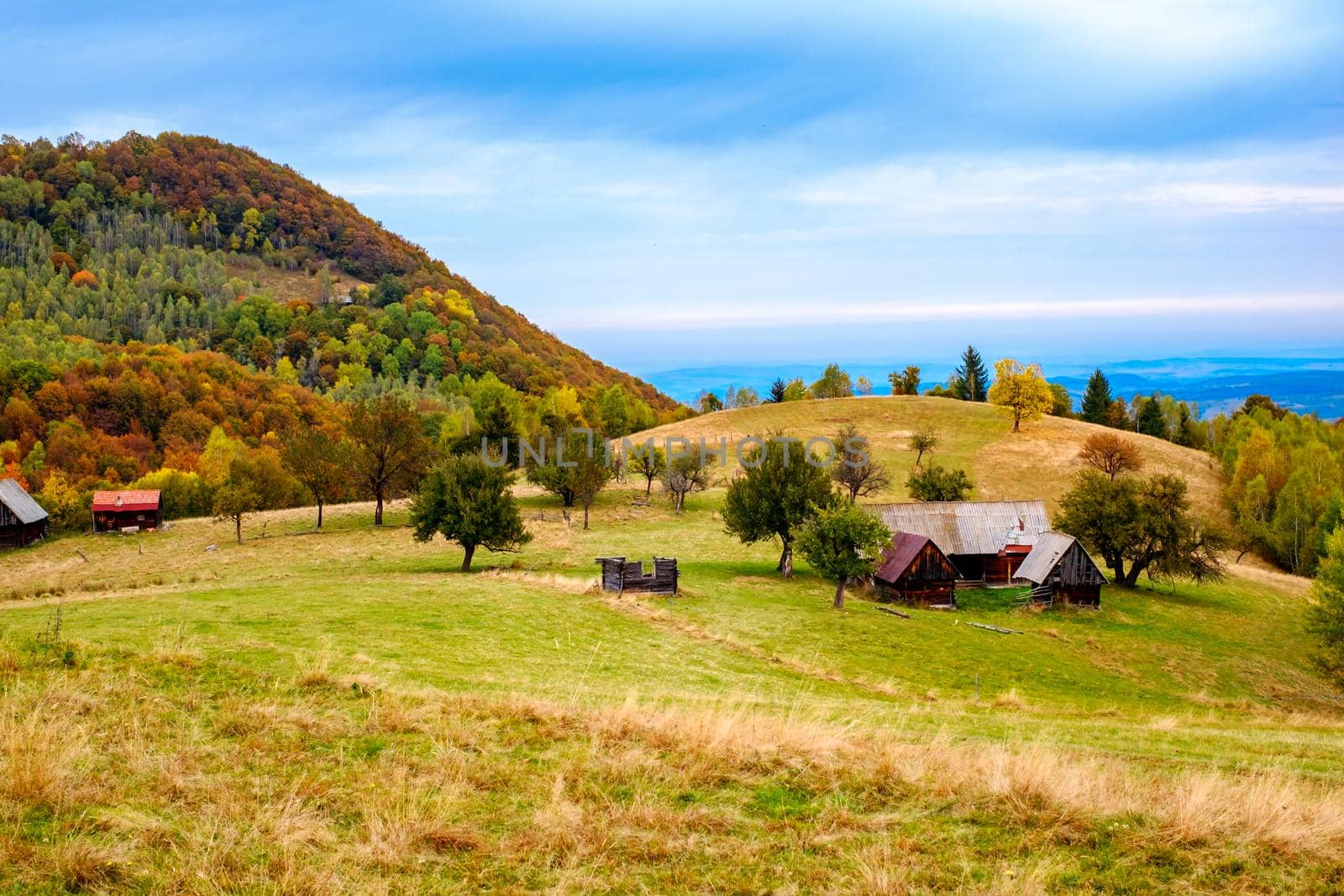 Colorful autumn landscape in the Romanian Carpathians, Fantanele village, Sibiu county, Cindrel mountains, 1100m, Romania