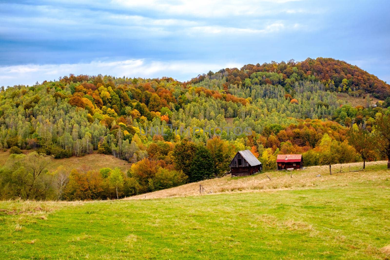 Colorful autumn landscape in the Romanian Carpathians, Fantanele village, Sibiu county, Cindrel mountains, 1100m, Romania