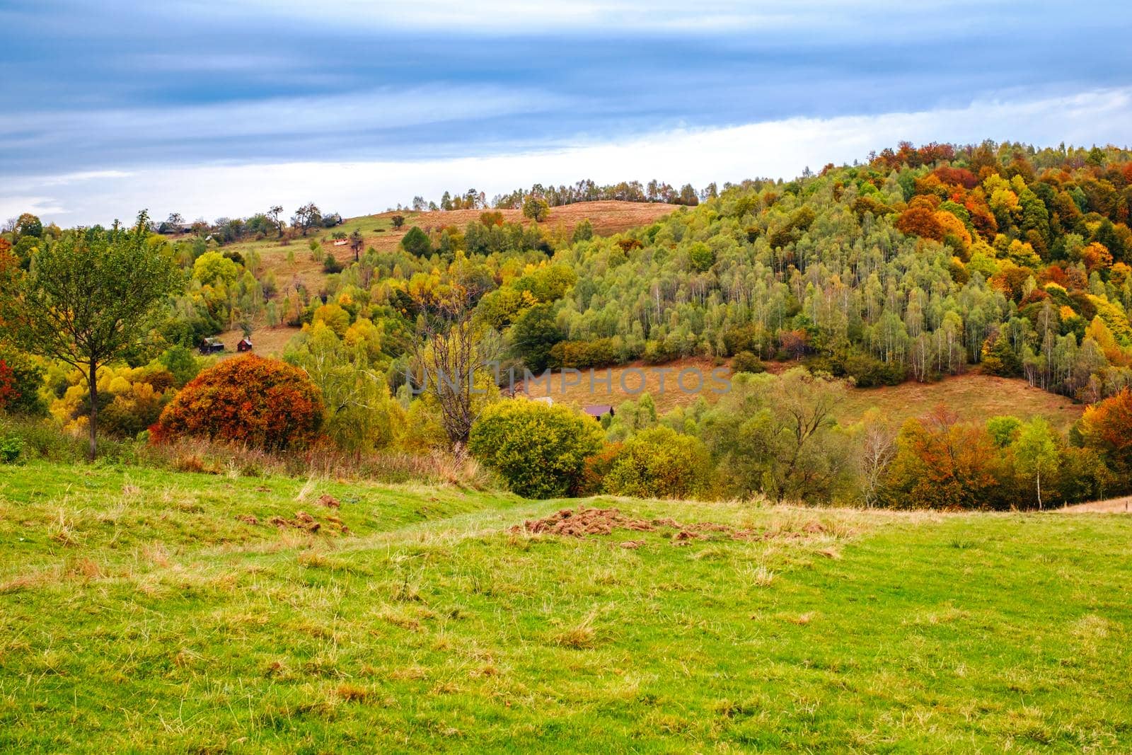 Colorful autumn landscape in the Romanian Carpathians, Fantanele village, Sibiu county, Cindrel mountains, 1100m, Romania