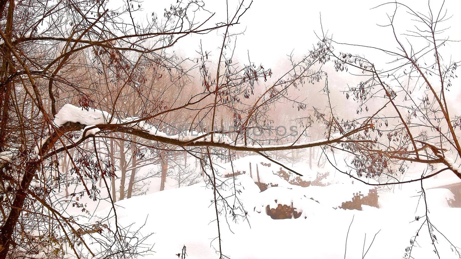 Winter landscape from the village by yohananegusse