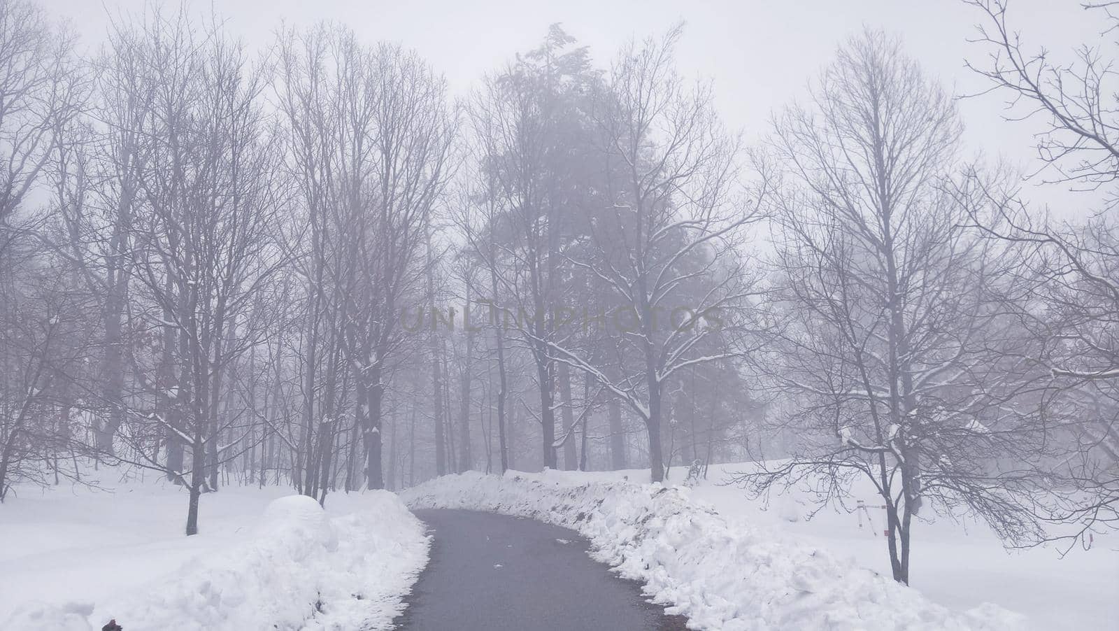 Winter landscape from the village by yohananegusse