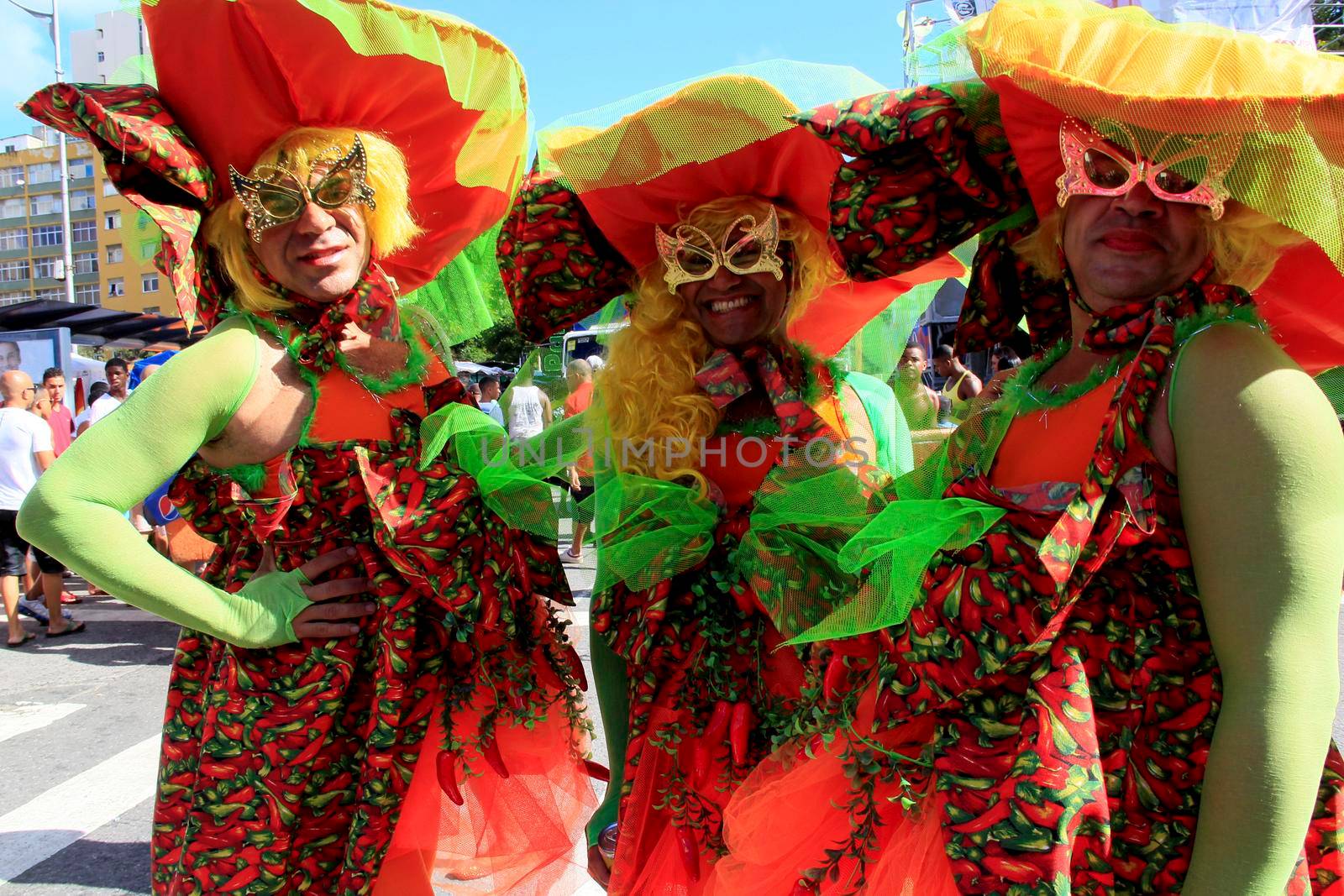 salvador, bahia / brazil - september 8, 2013: people are seen during gay pride parade in the city of Salvador.