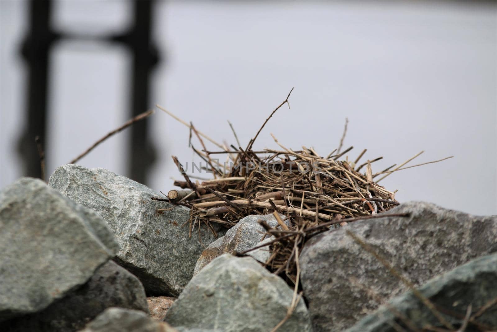 Close up of a stone pier in a harbor basin by Luise123