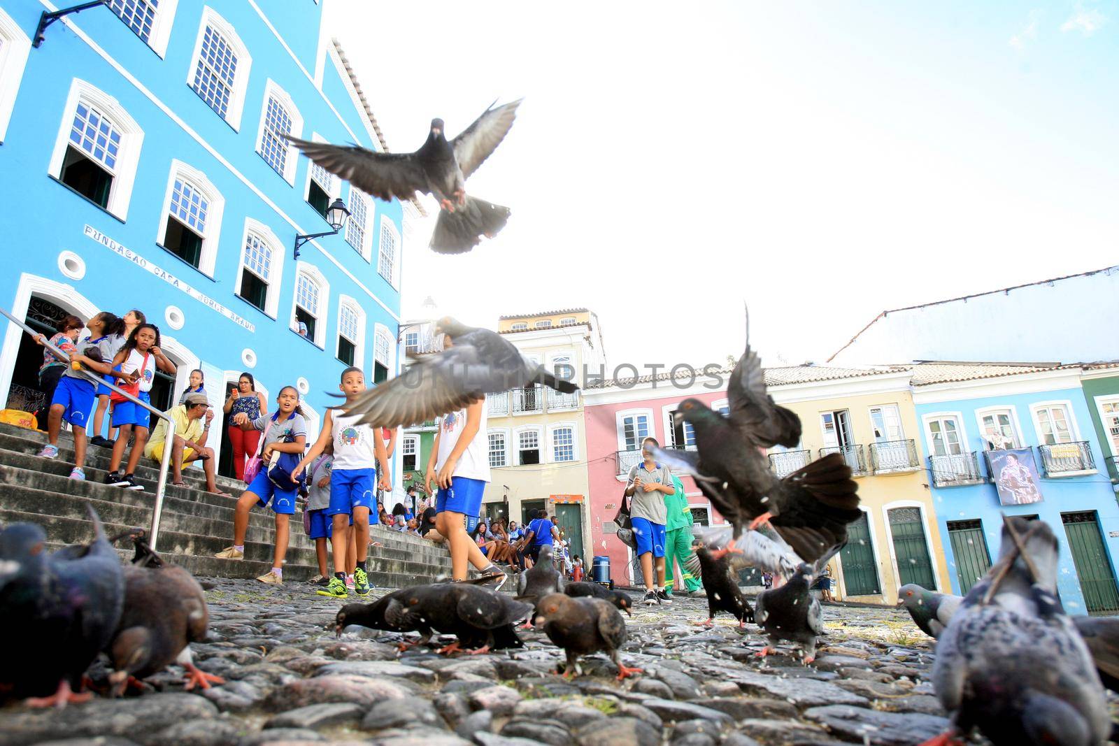 salvador, bahia / brazil - april 10, 2017: young students from a private school in the city of Salvador, are seen alongside pigeons in Pelourinho.



  

