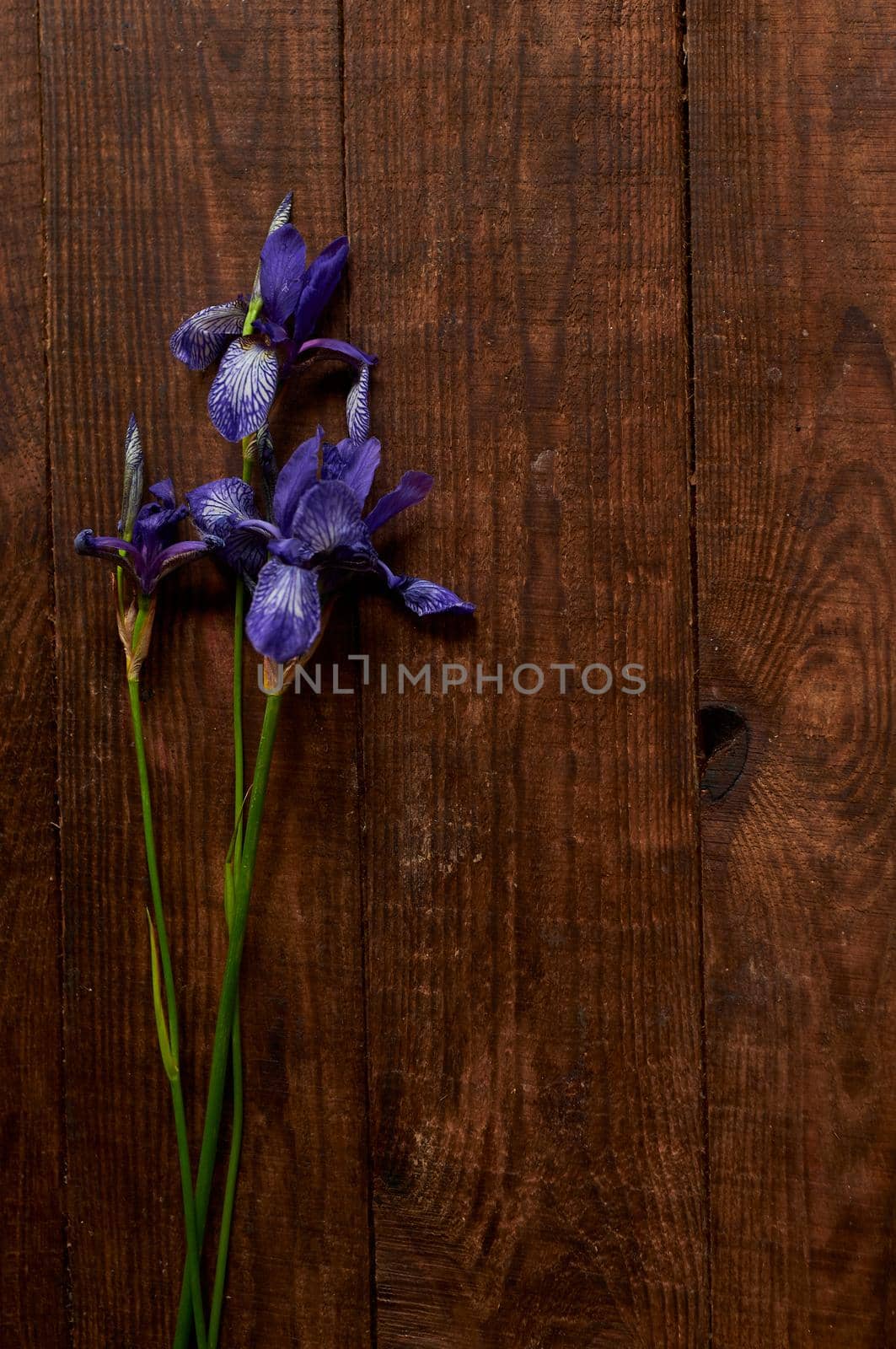 bouquet of wild purple iris flowers on brown wooden table