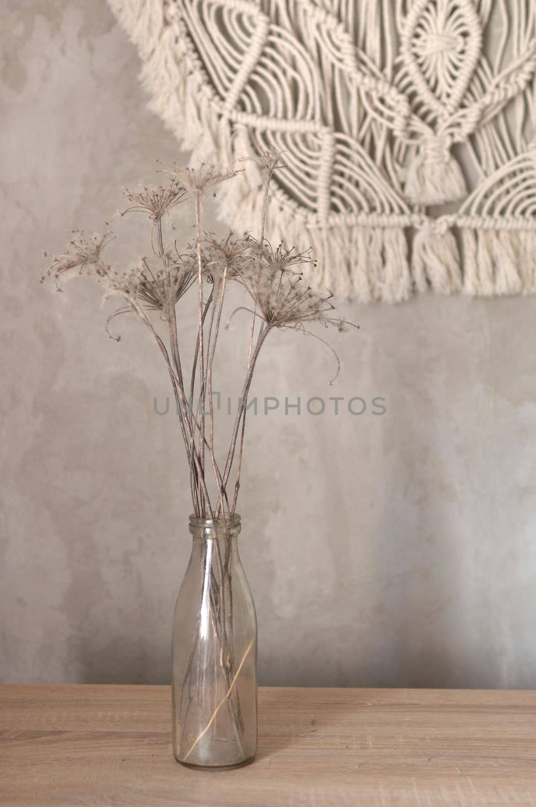 bouquet of reed plant on the background of a gray concrete wall with macrame by ozornina