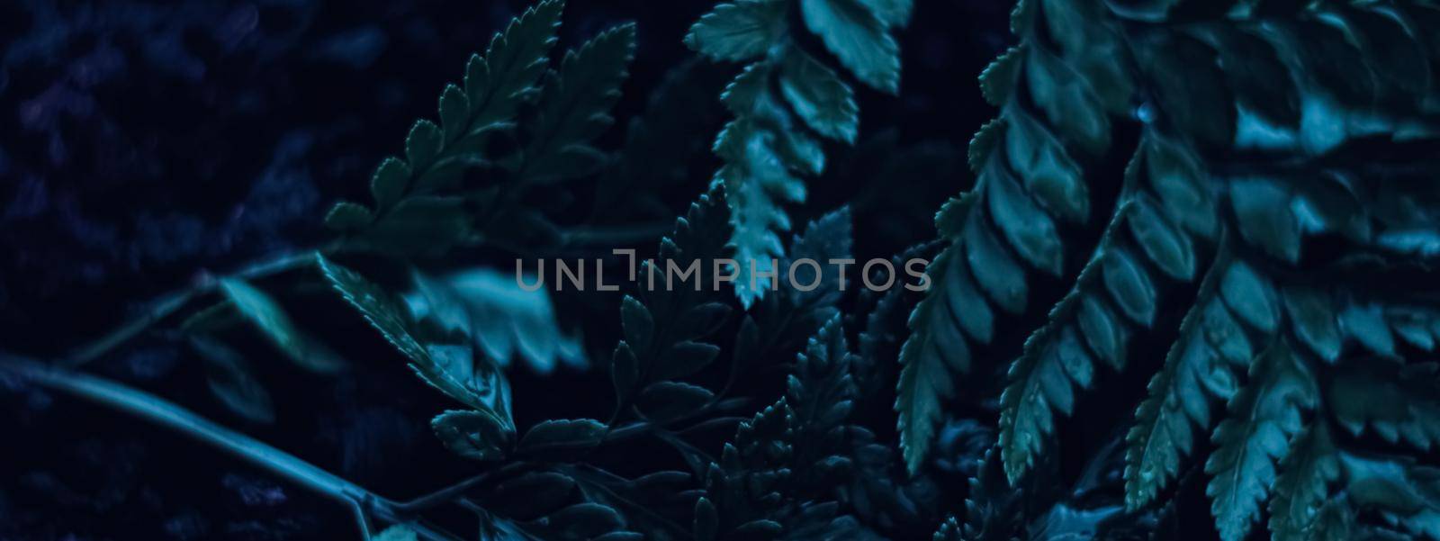 Blue plant leaves at night as surreal botanical background, minimal design backdrop