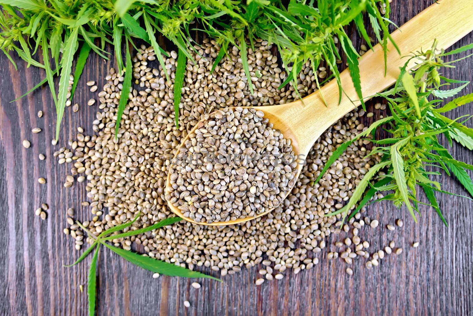 Grain hemp in spoon with cannabis leaves on the background of dark wooden boards on top