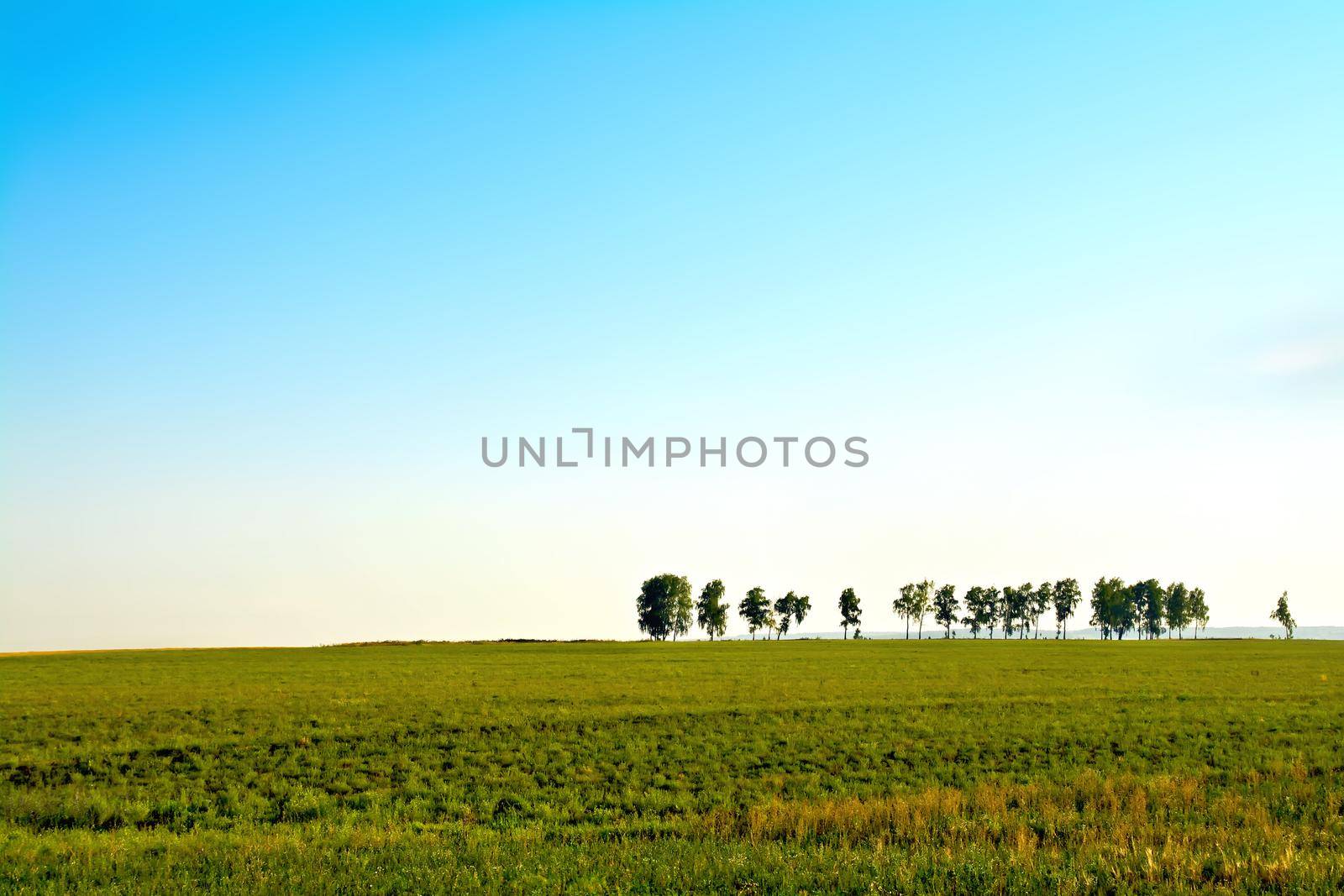 Landscape with trees and sky by rezkrr