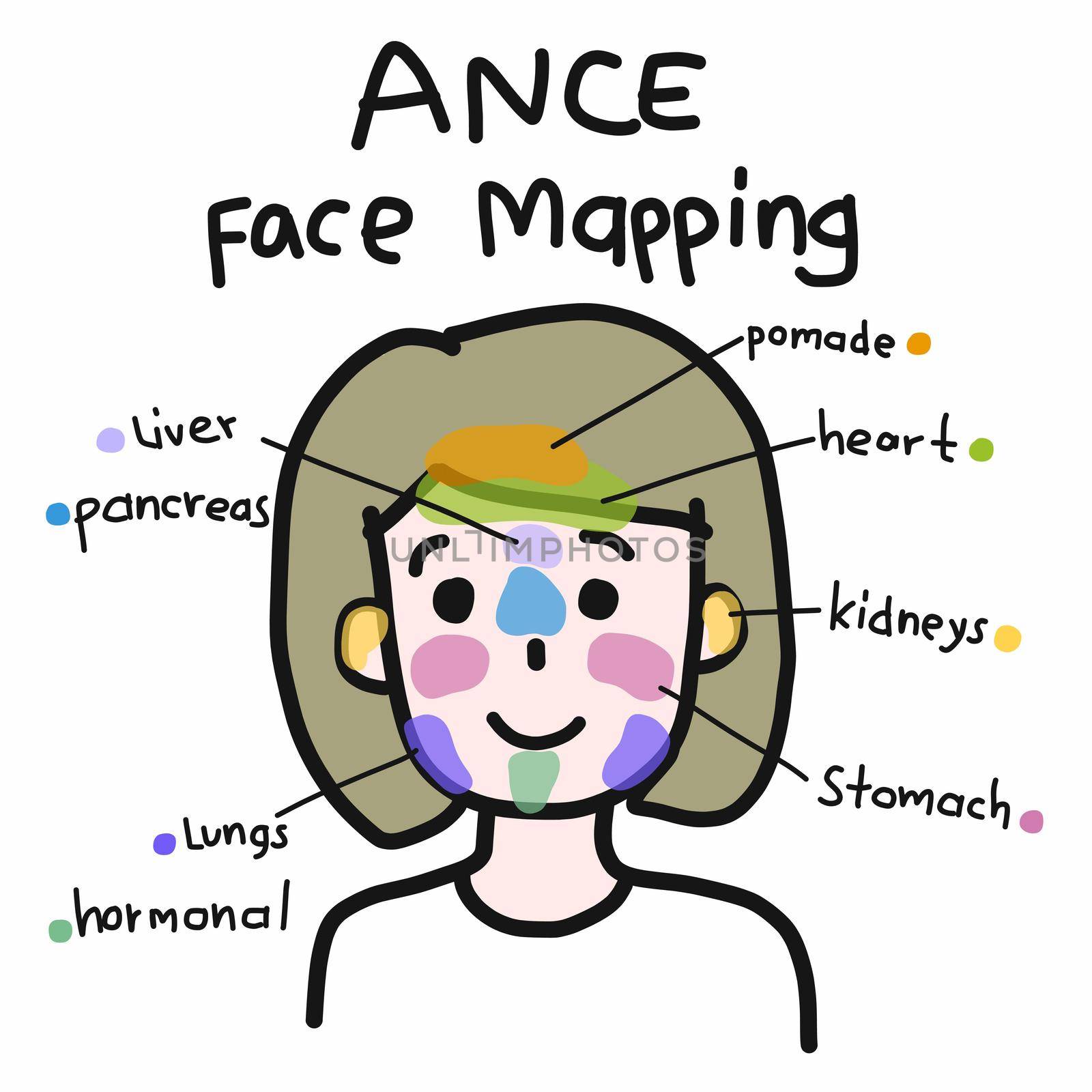 Face mapping for acne , Cute woman cartoon face vector illustration by Yoopho