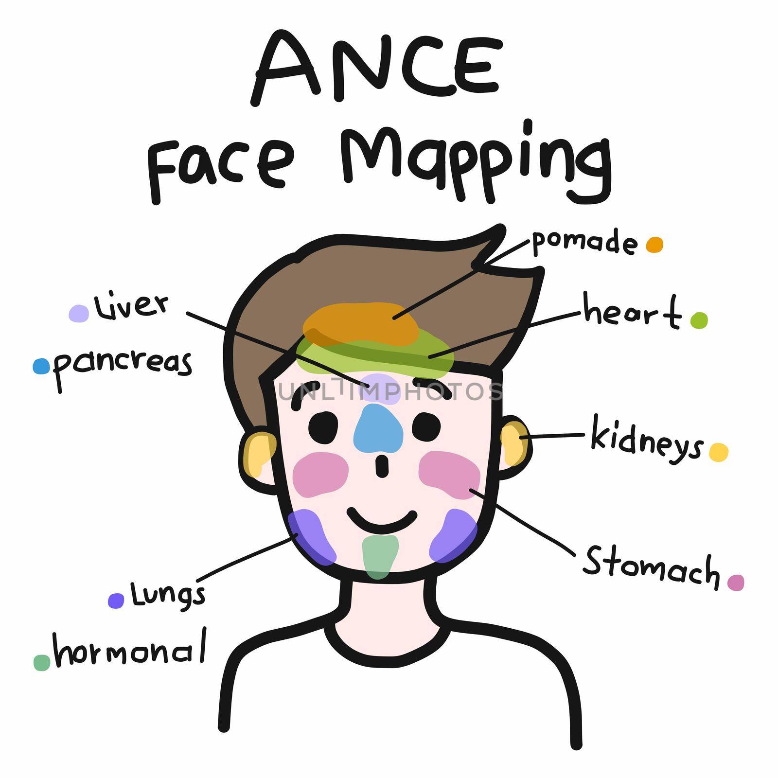 Face mapping for acne , Cute man cartoon face vector illustration by Yoopho