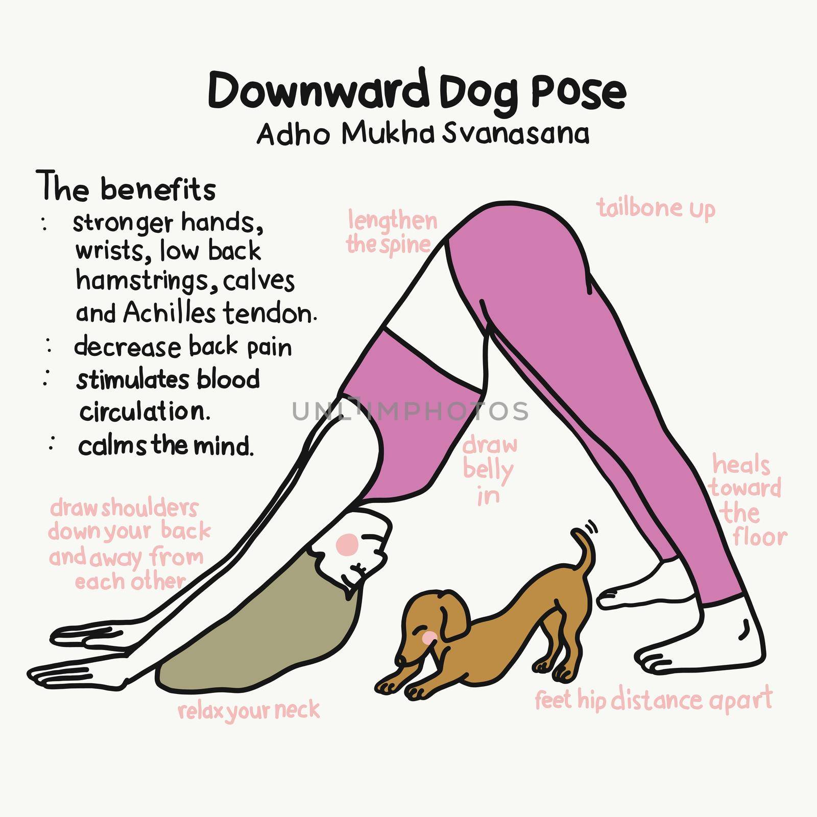 Downward Dog yoga pose and benefits cartoon vector illustration