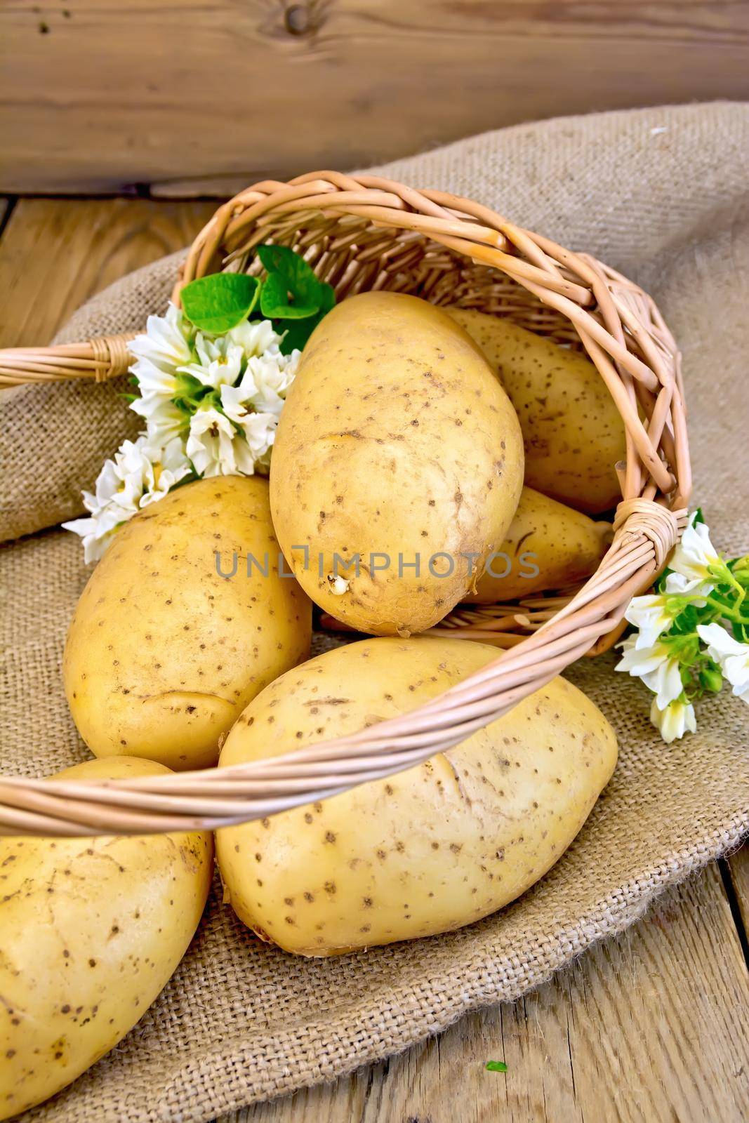 Potatoes yellow in basket with flower on sackcloth and board by rezkrr