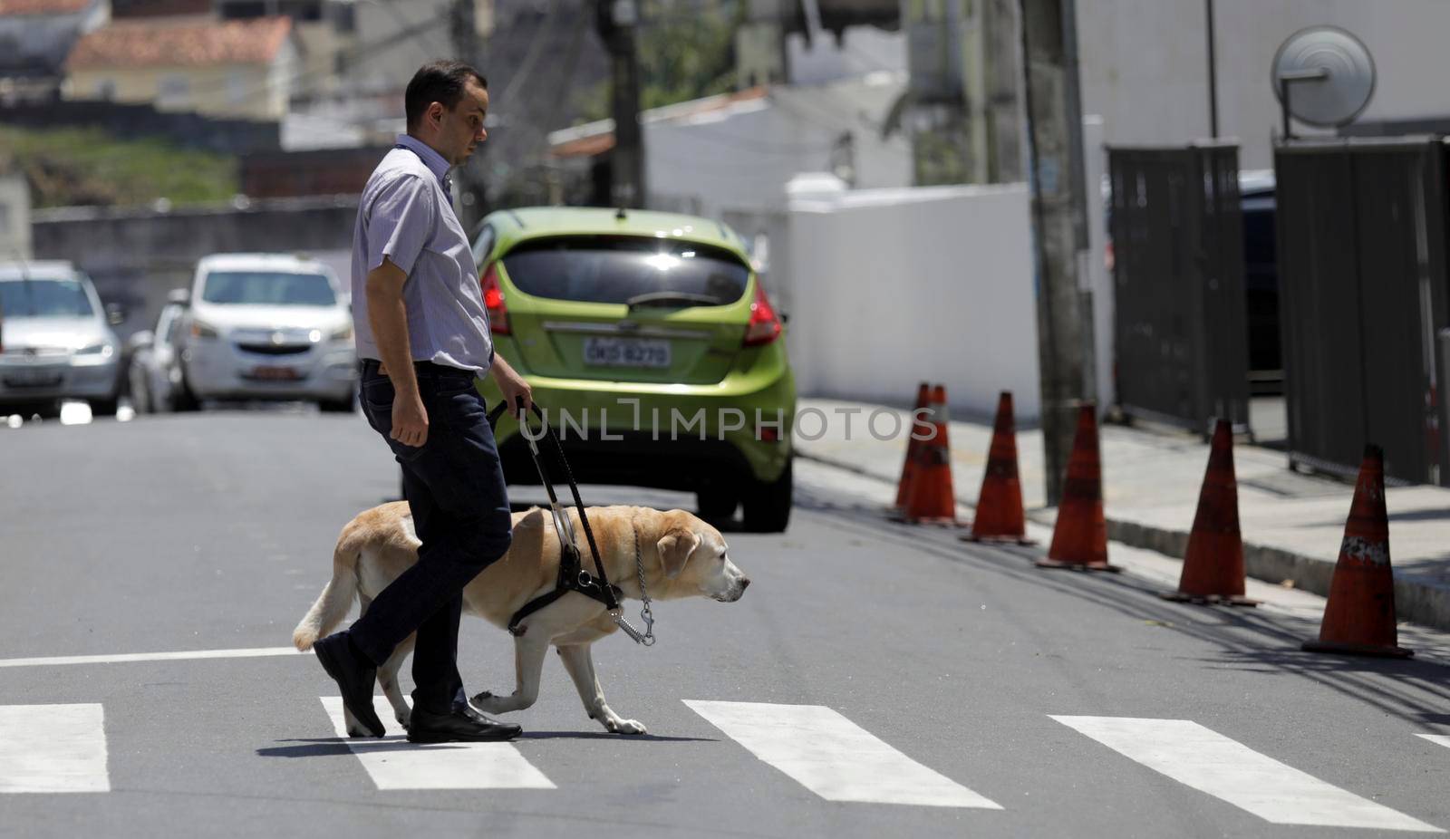 salvador, bahia / brazil - march 20, 2019: visually impaired uses his guide dog to get around the neighborhood of Nazare in salvador city.

