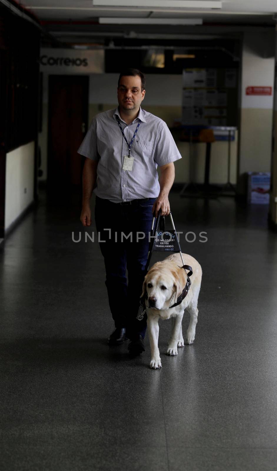 blind man uses guide dog for locomotion in salvador by joasouza