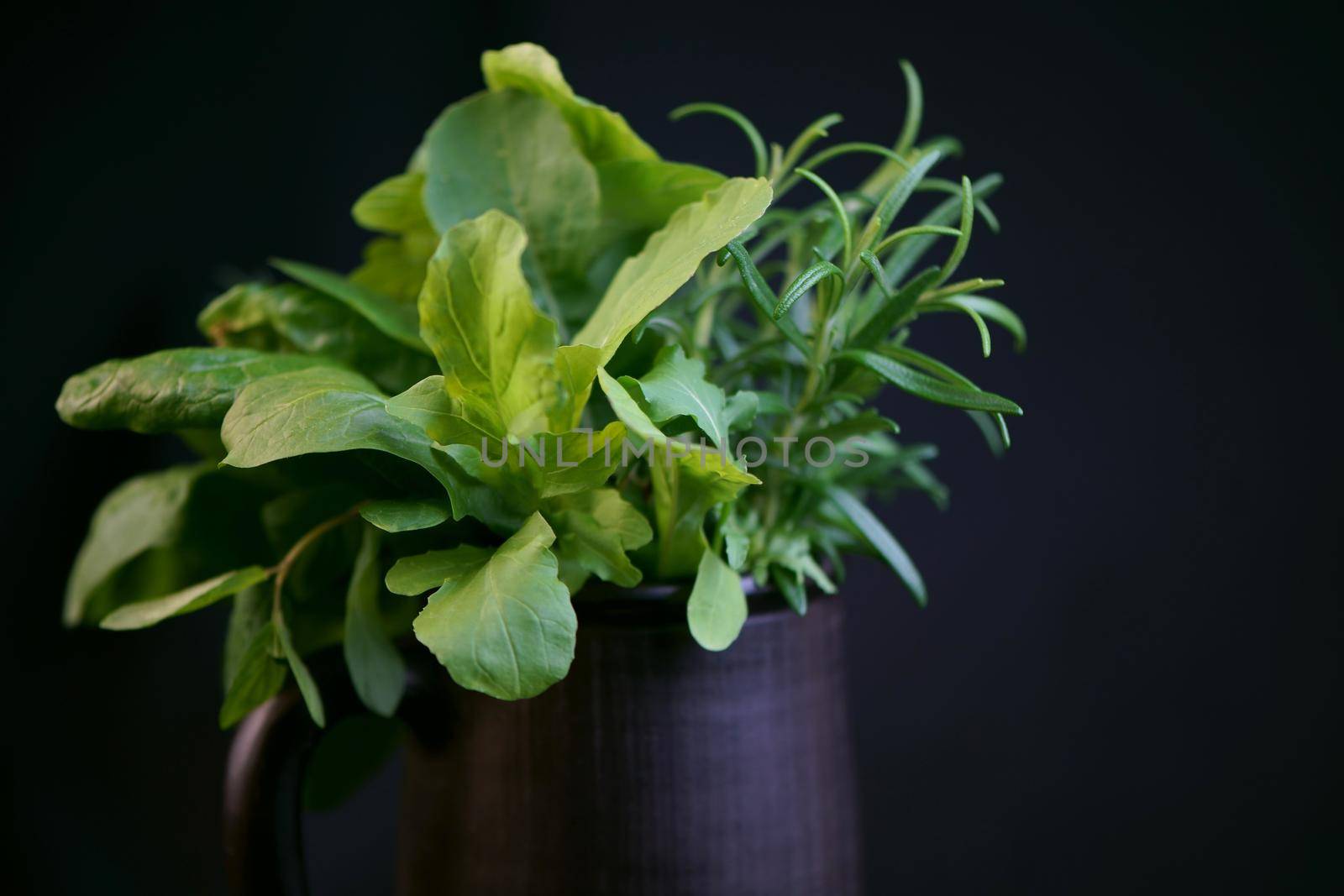 Fresh spicy herbs - mint, rosemary, dill, arugula and spinach in a black cup on a black background by aprilphoto