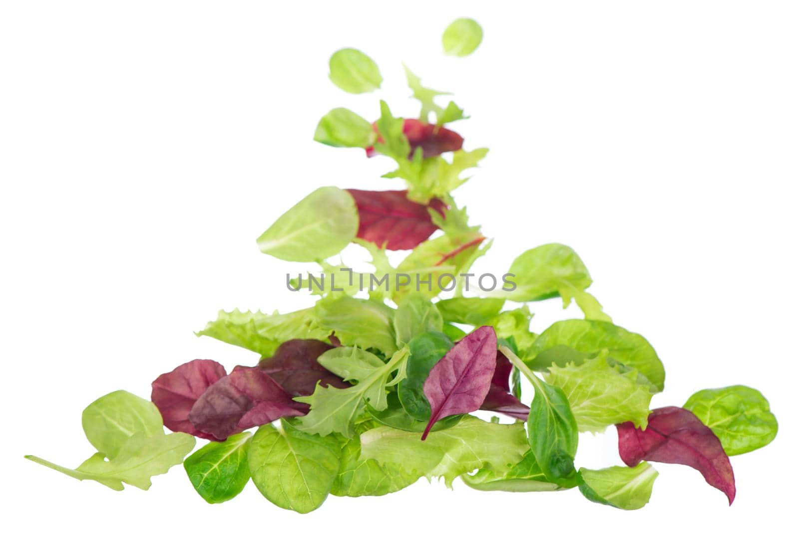 Fresh green leaves lettuce salad isolated on white background by aprilphoto