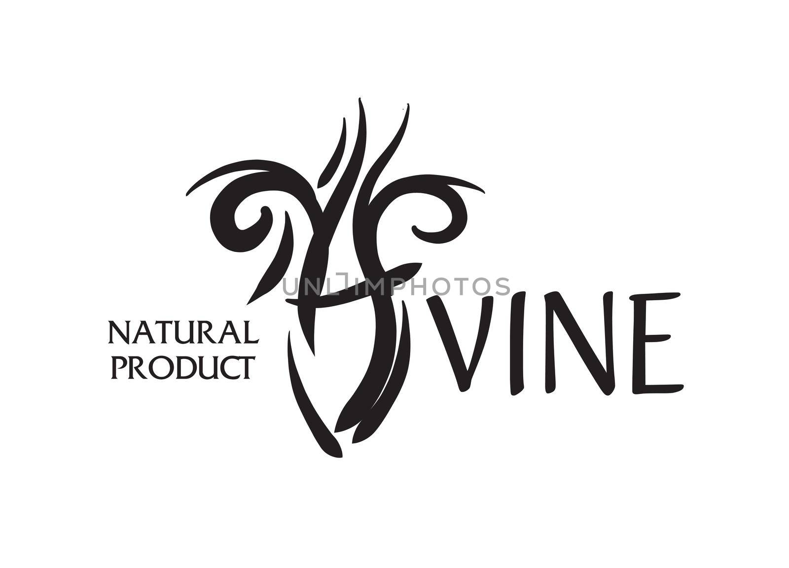 Vector logo drawn by hand. Wine Making Jug.