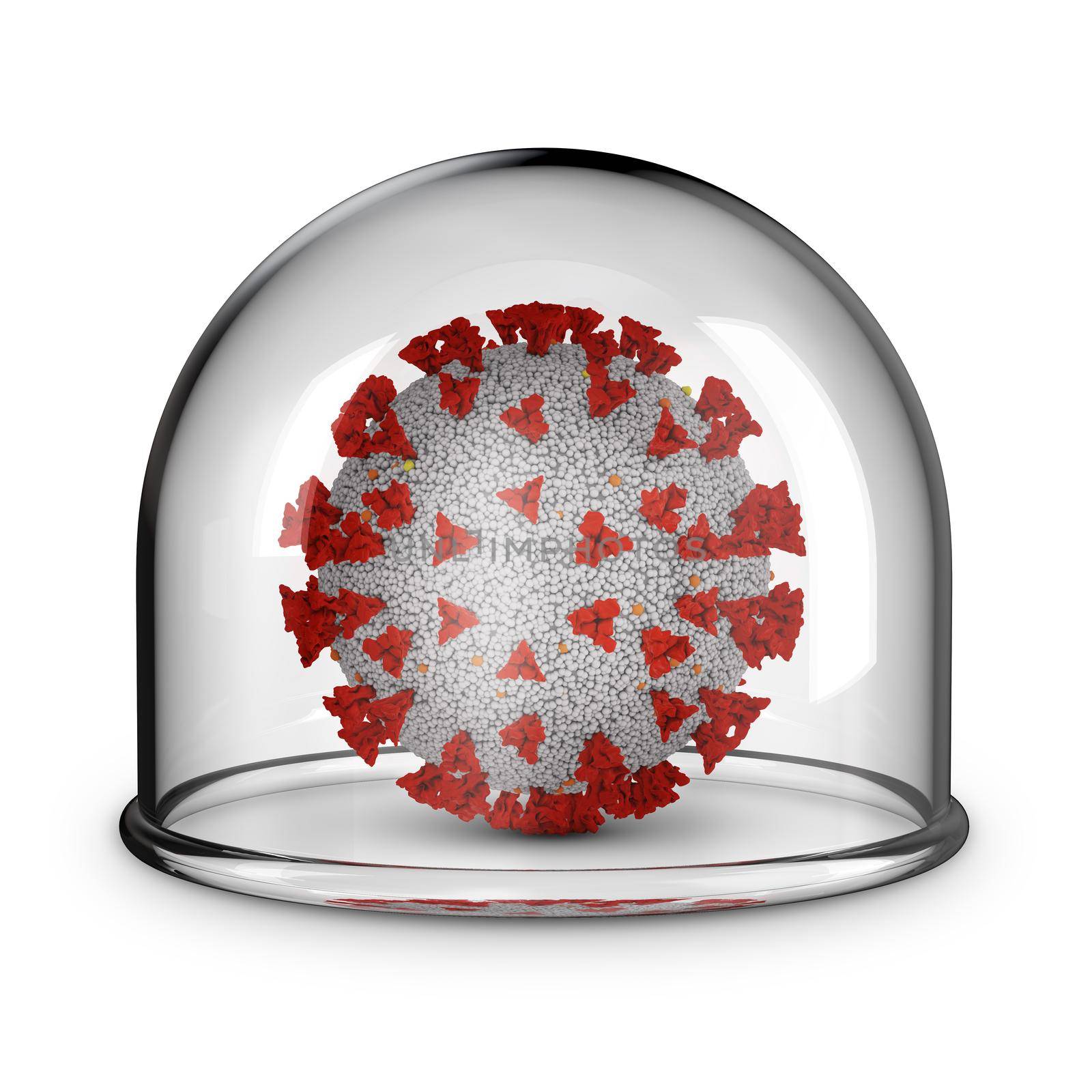 Coronavirus under a glass dome on a white background. 3D rendering.
